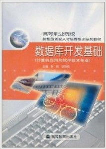 數(shù)據(jù)庫開發(fā)基礎(chǔ) 計算機(jī)軟件開發(fā)的核心技能