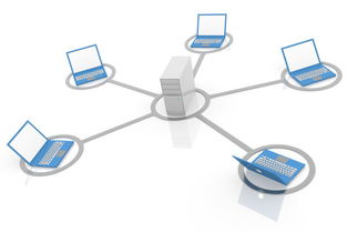 局域網(wǎng)與互聯(lián)網(wǎng) 計(jì)算機(jī)軟件開發(fā)中的雙重視角